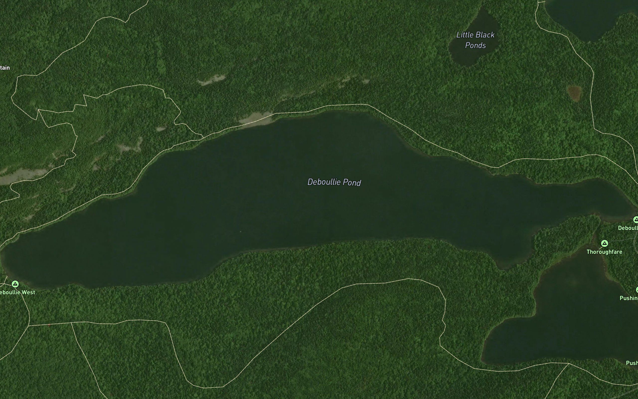 Deboullie Pond