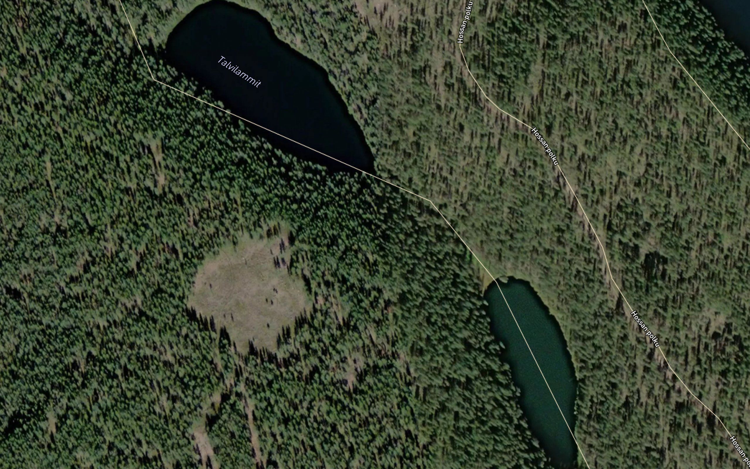 Talvilammit
