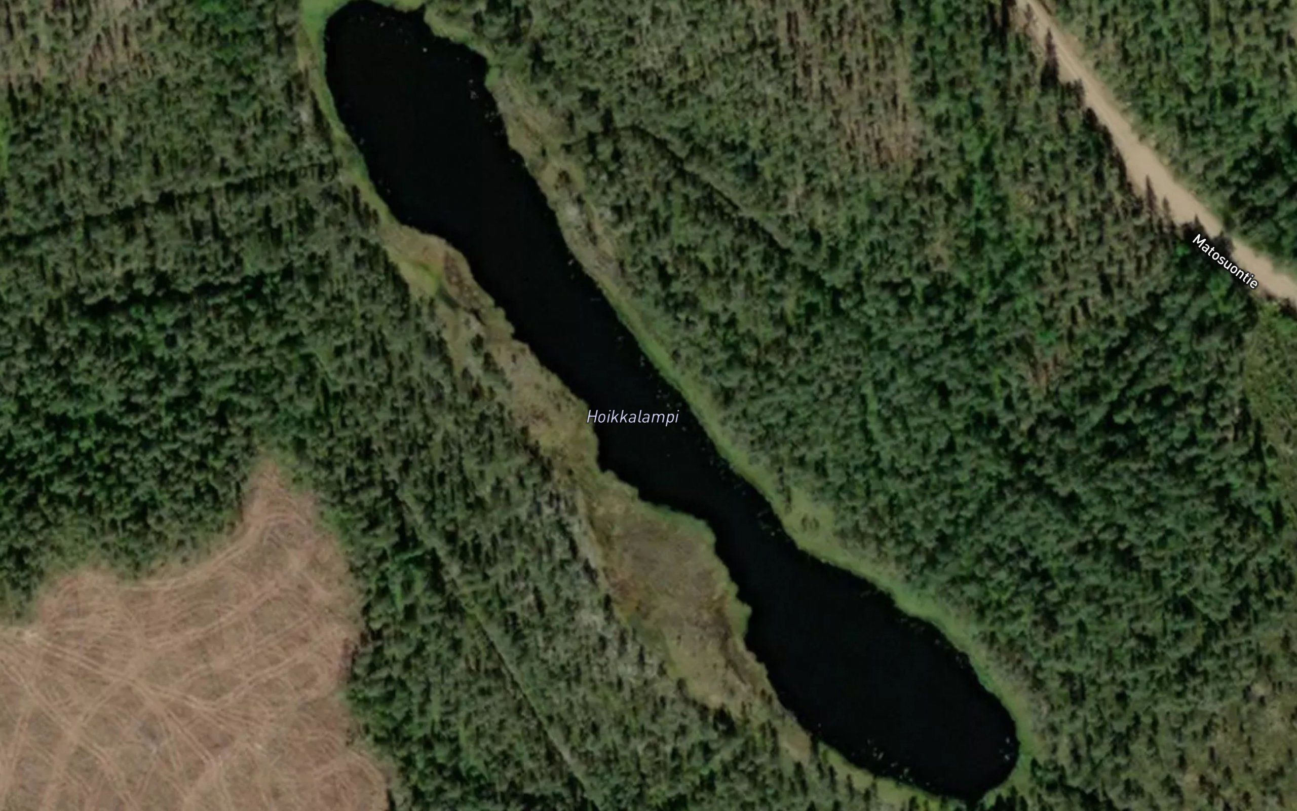 Hoikkalampi