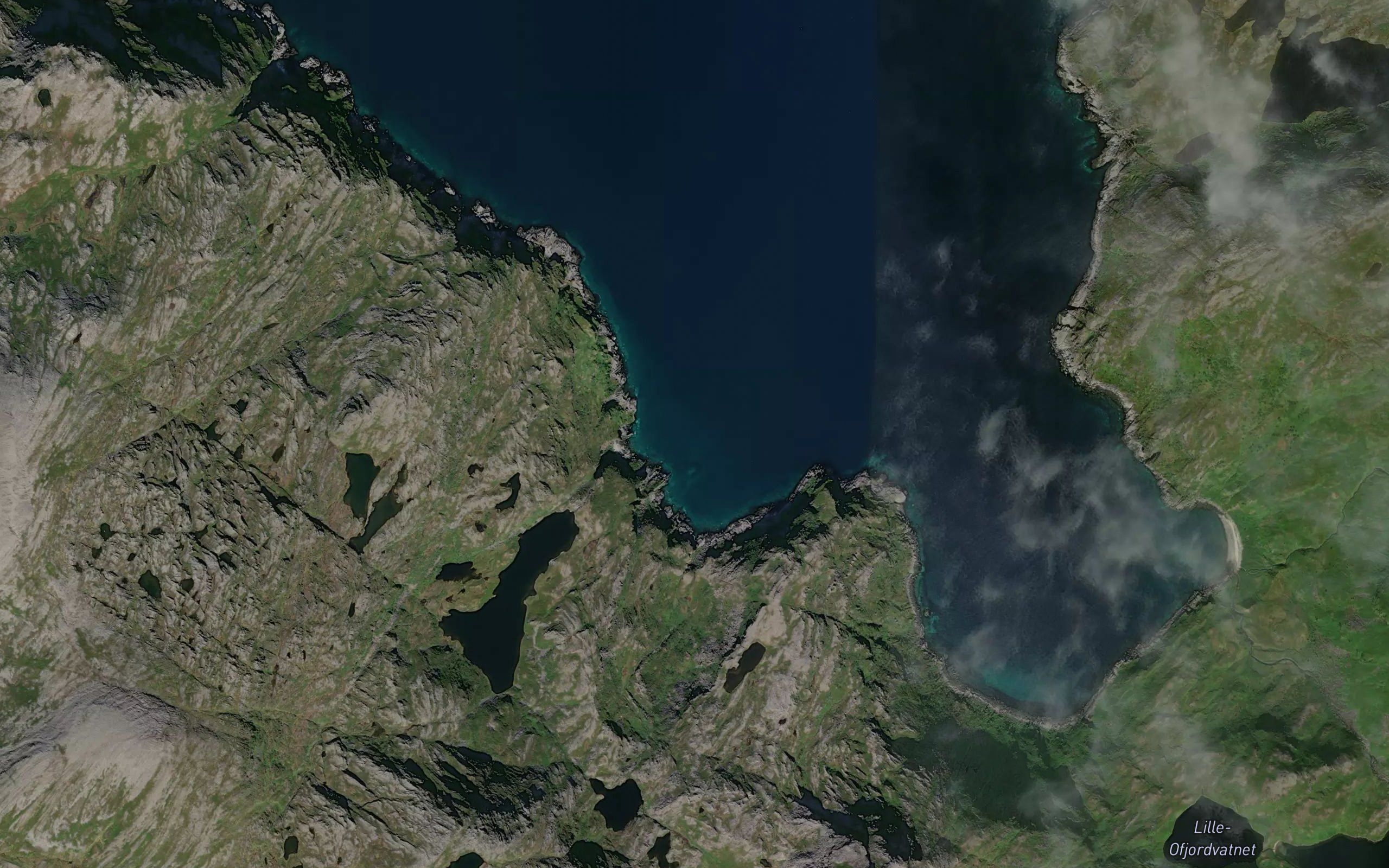 Kobbebukta