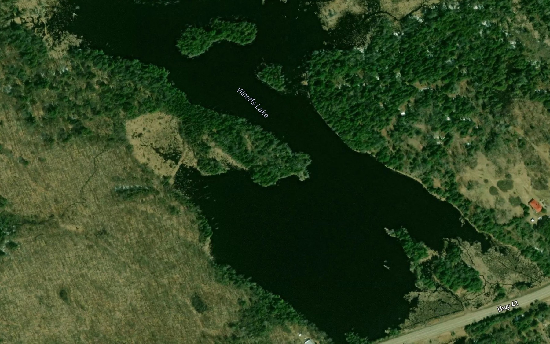 Satellite map of the Vilneffs Lake
