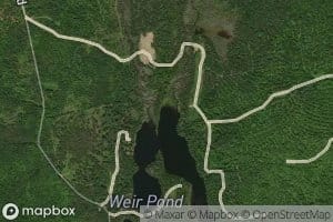 Bartlett Stream