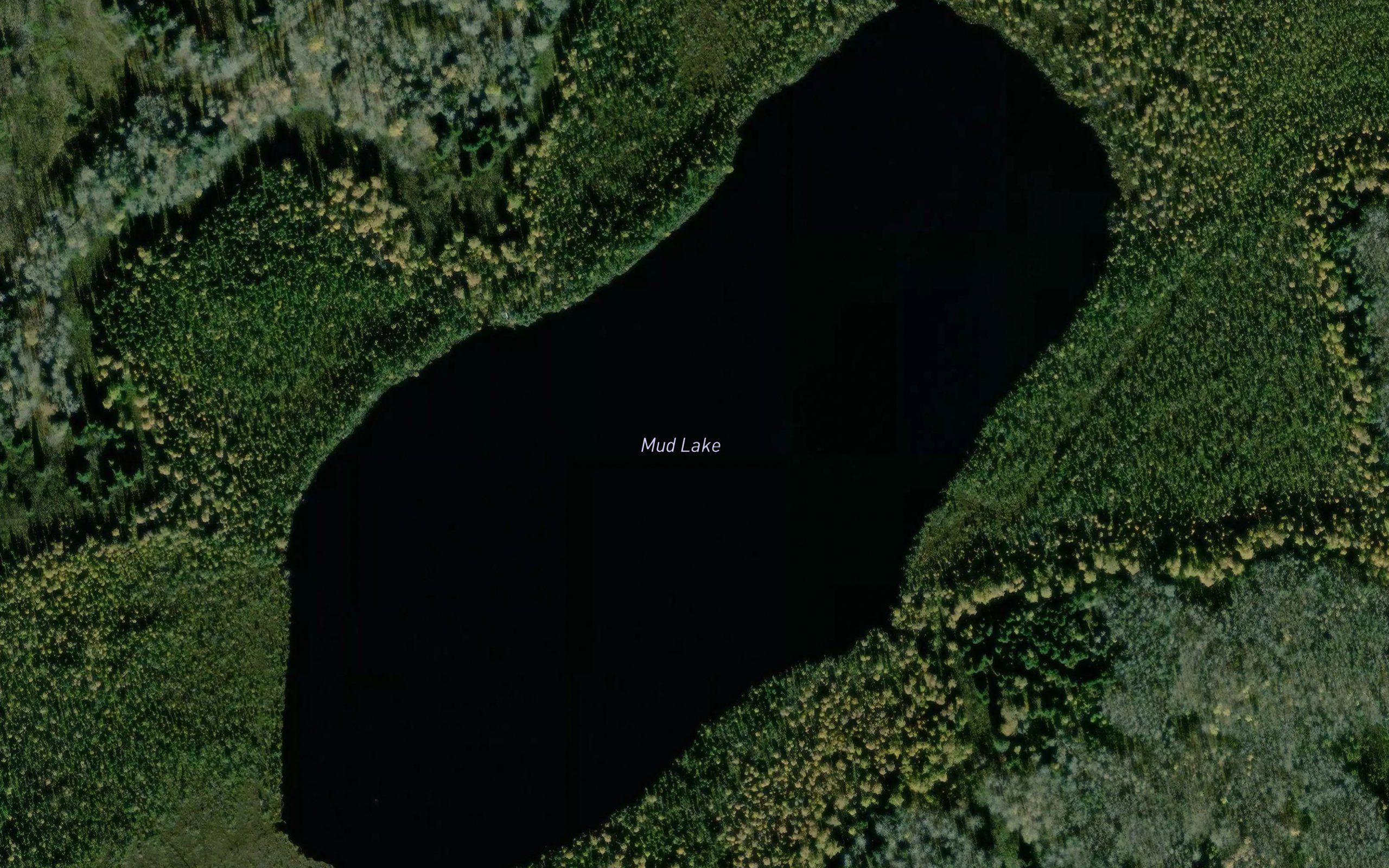 Mud Lake