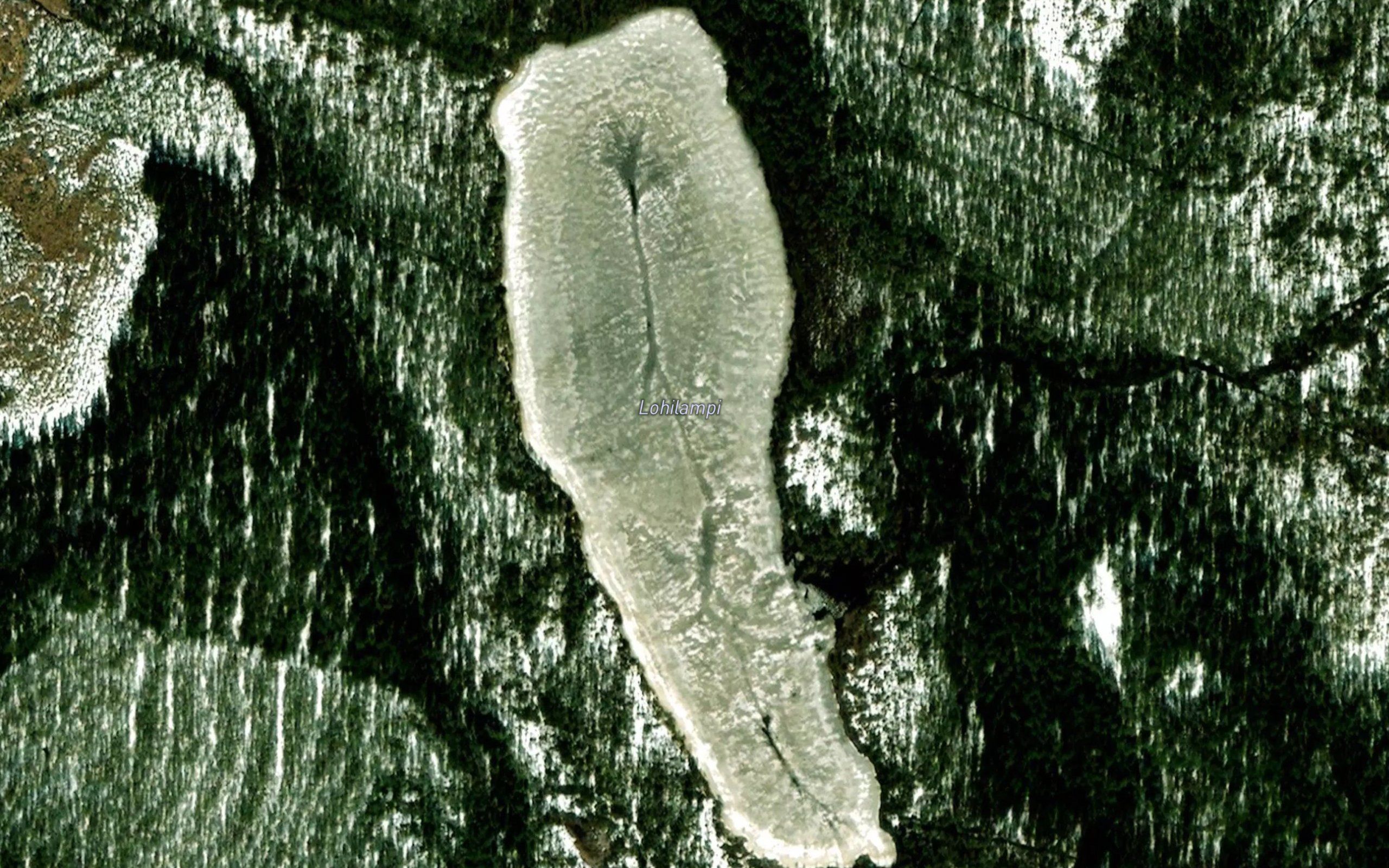 Lohilampi