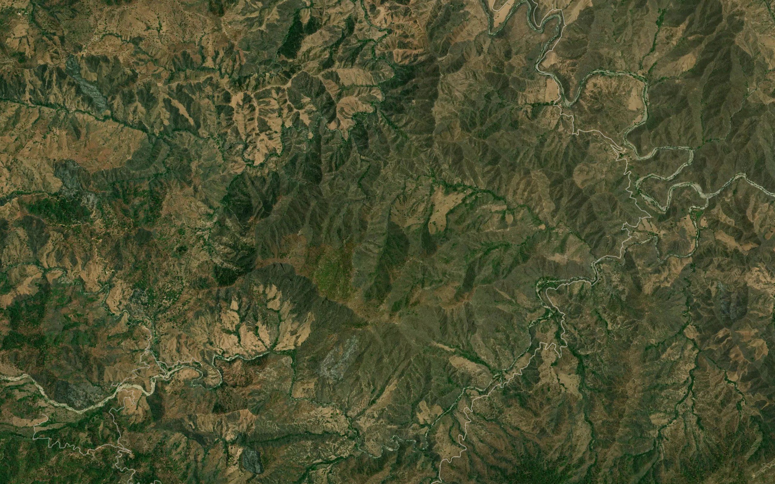 El Tecolote