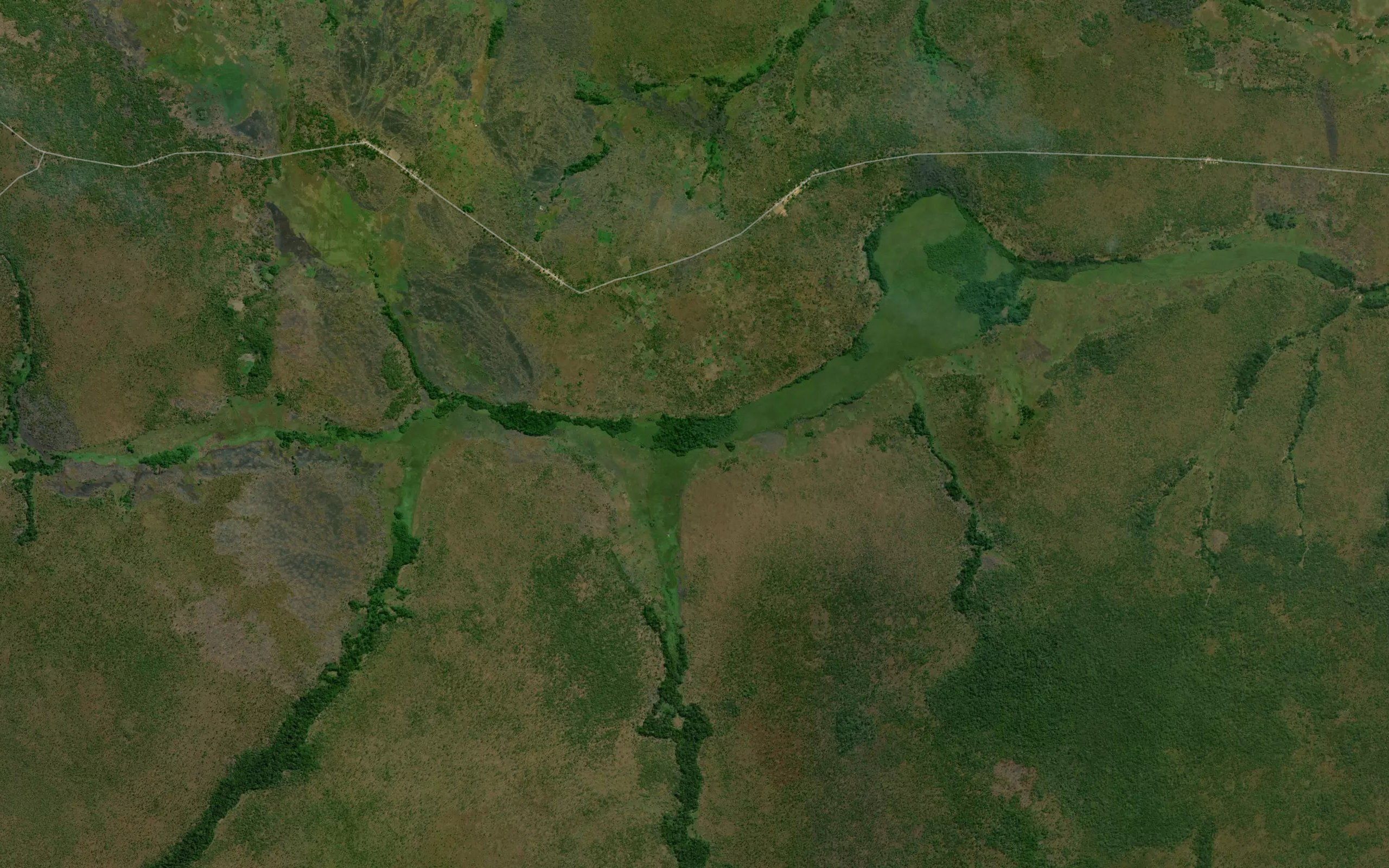 Kambao