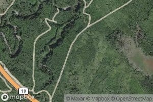 Bloedel Creek