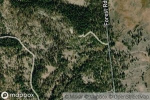 Jungle Creek