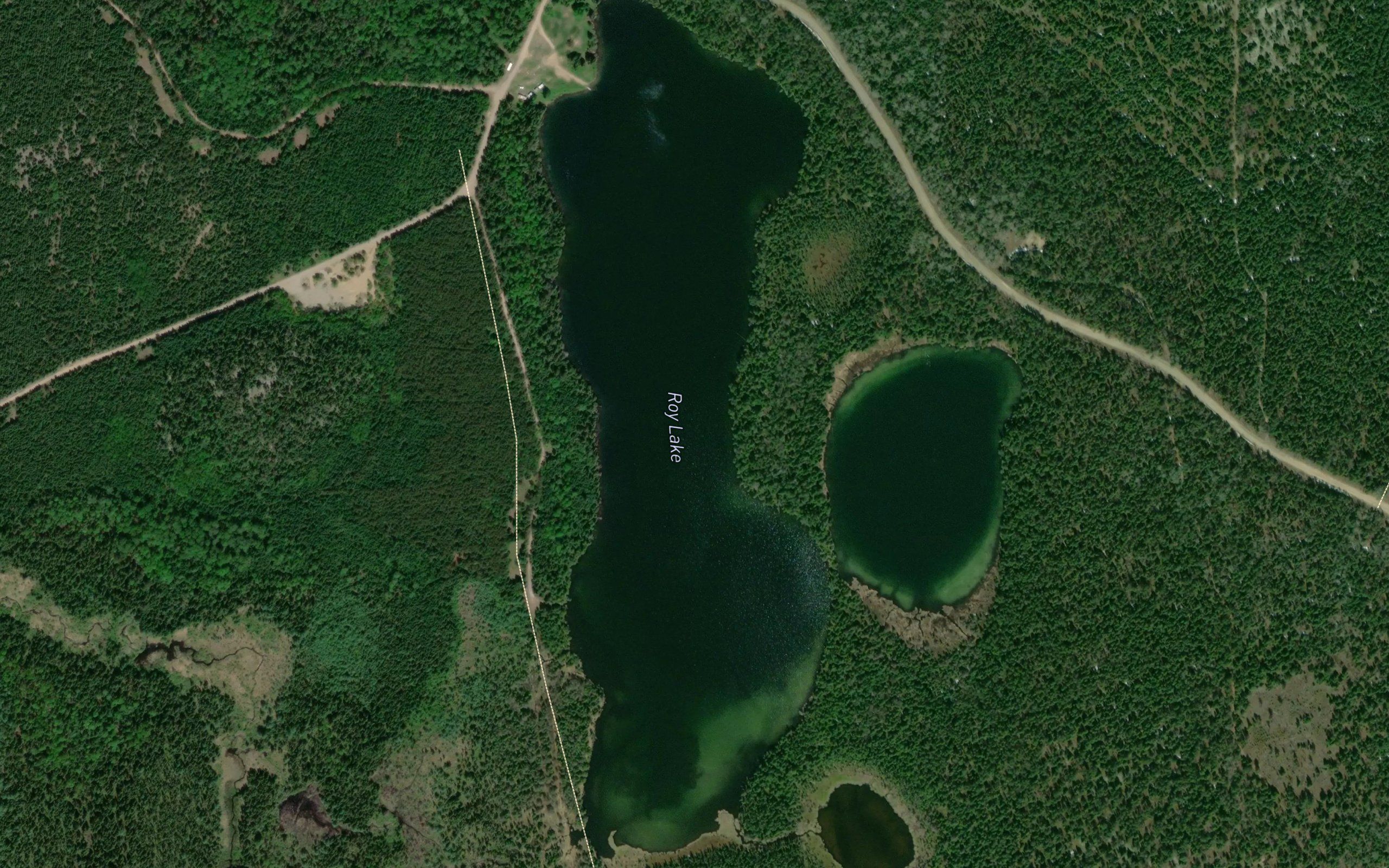 Roy Lake