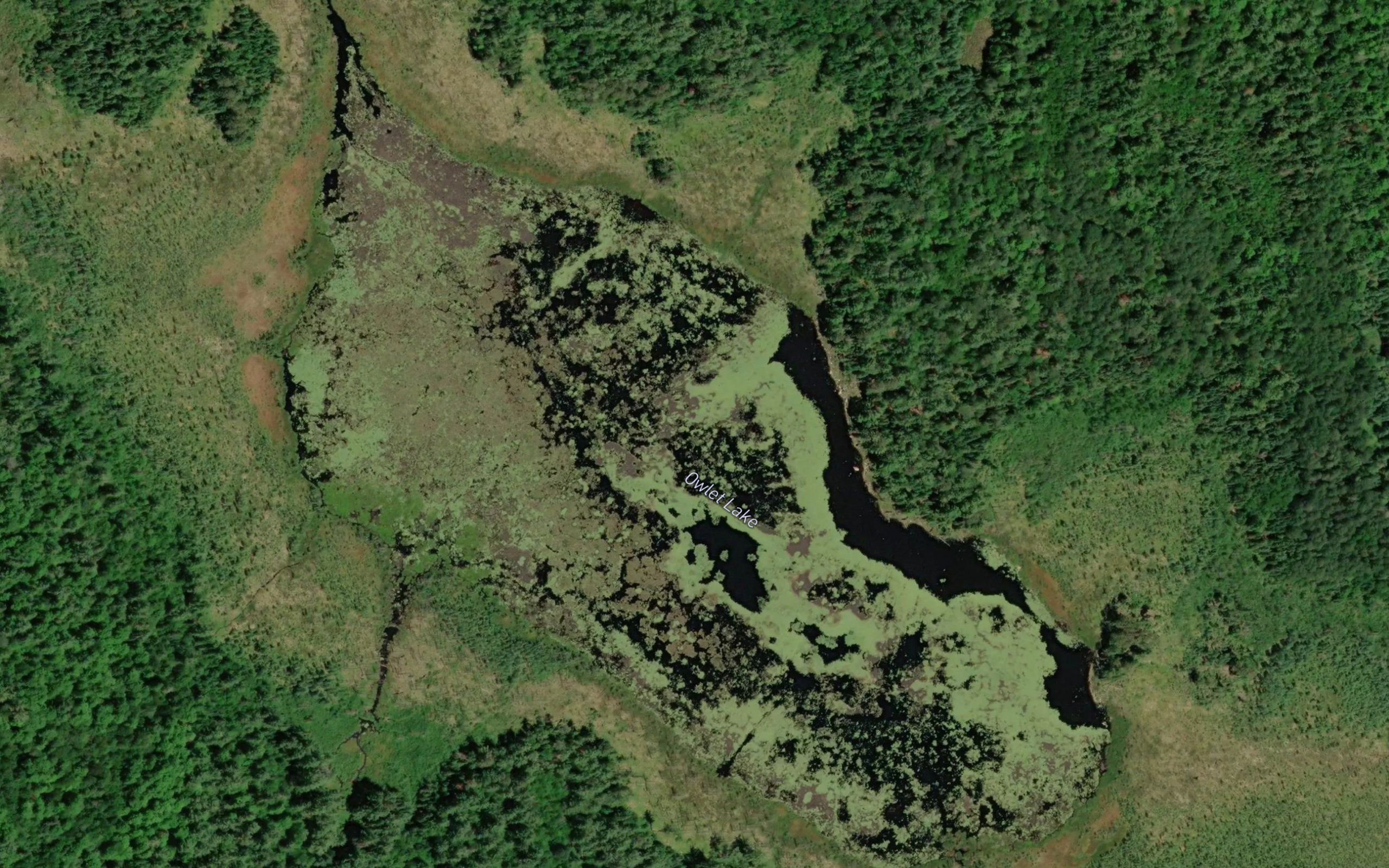 Owlet Lake