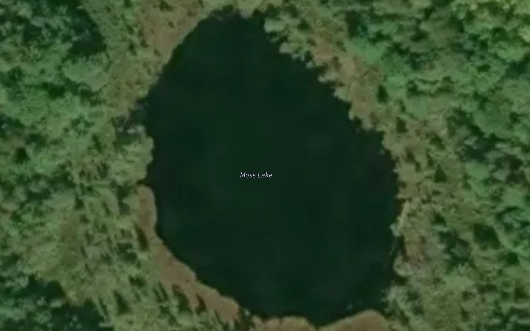 Satellite map of the Moss Lake