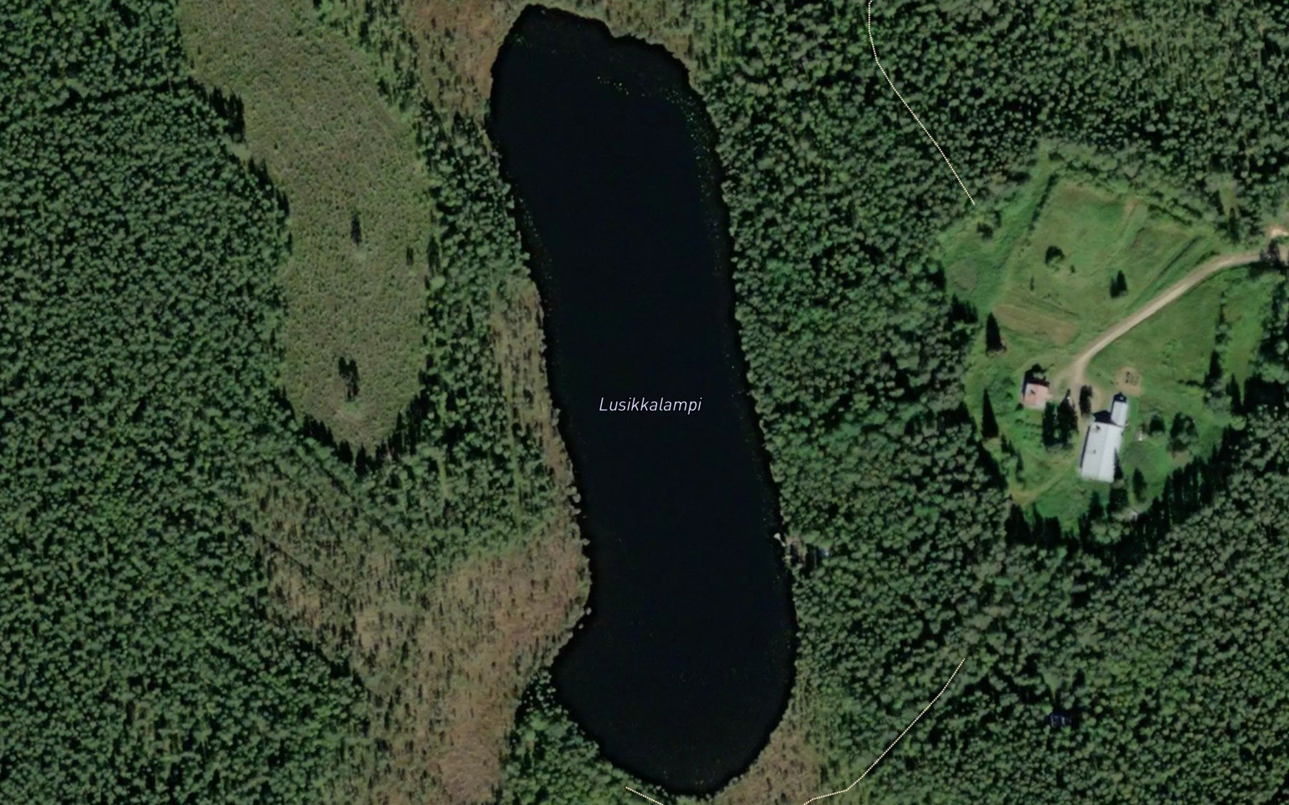 Lusikkalampi
