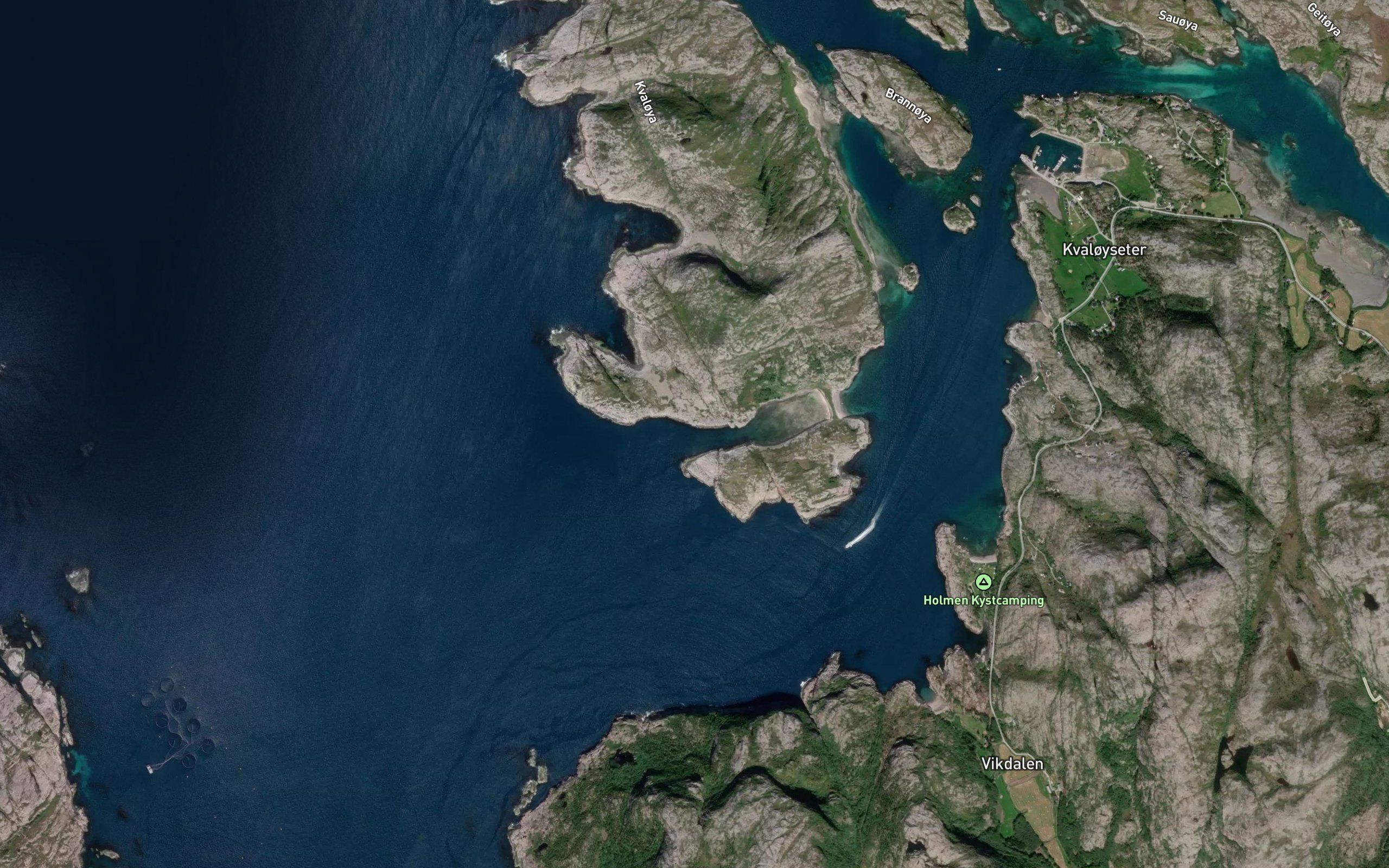 Kvaloyvalen