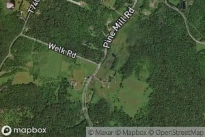 South Branch Equinunk Creek