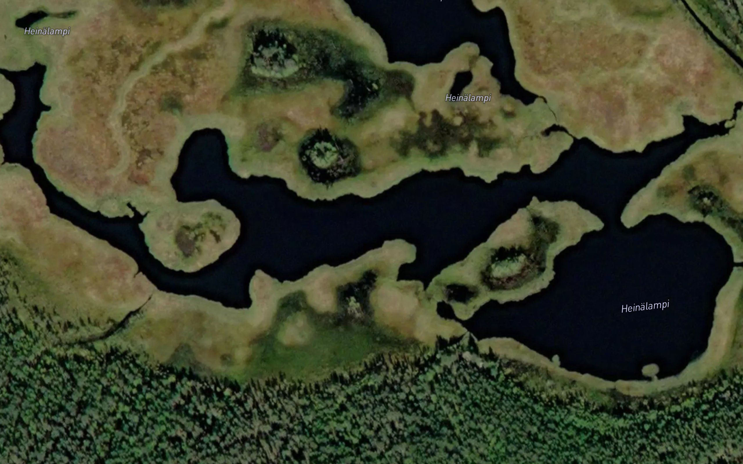 Heinalammit