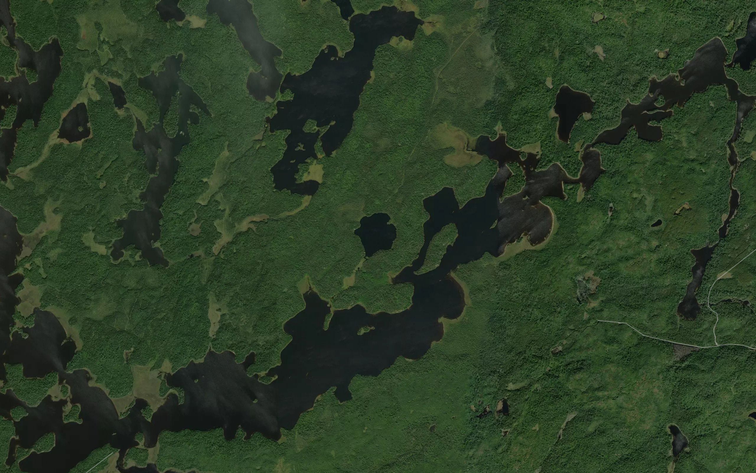 Plute Lake