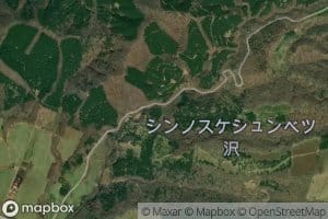 Shinnosukeshunbetsu Zawa