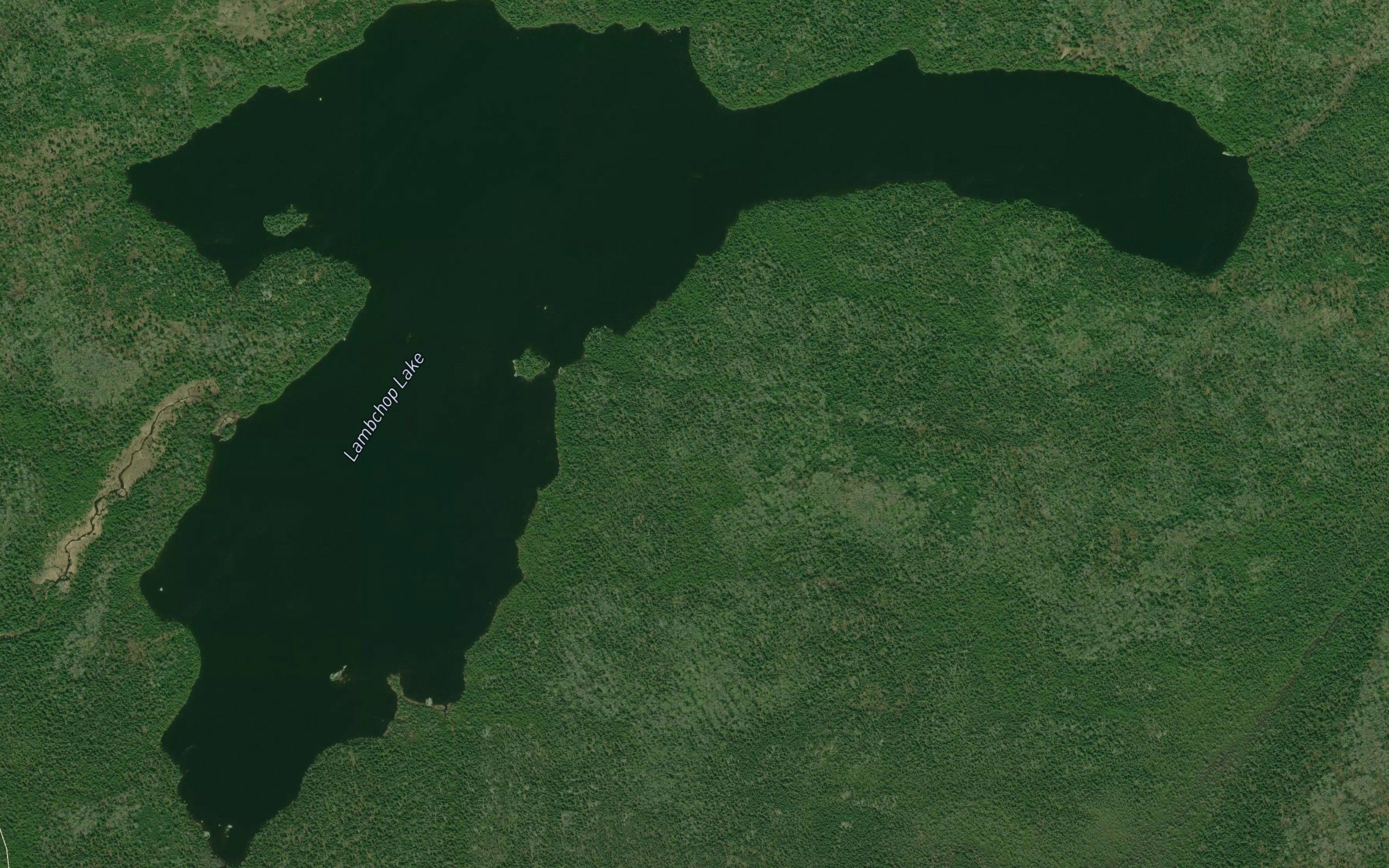 Lambchop Lake