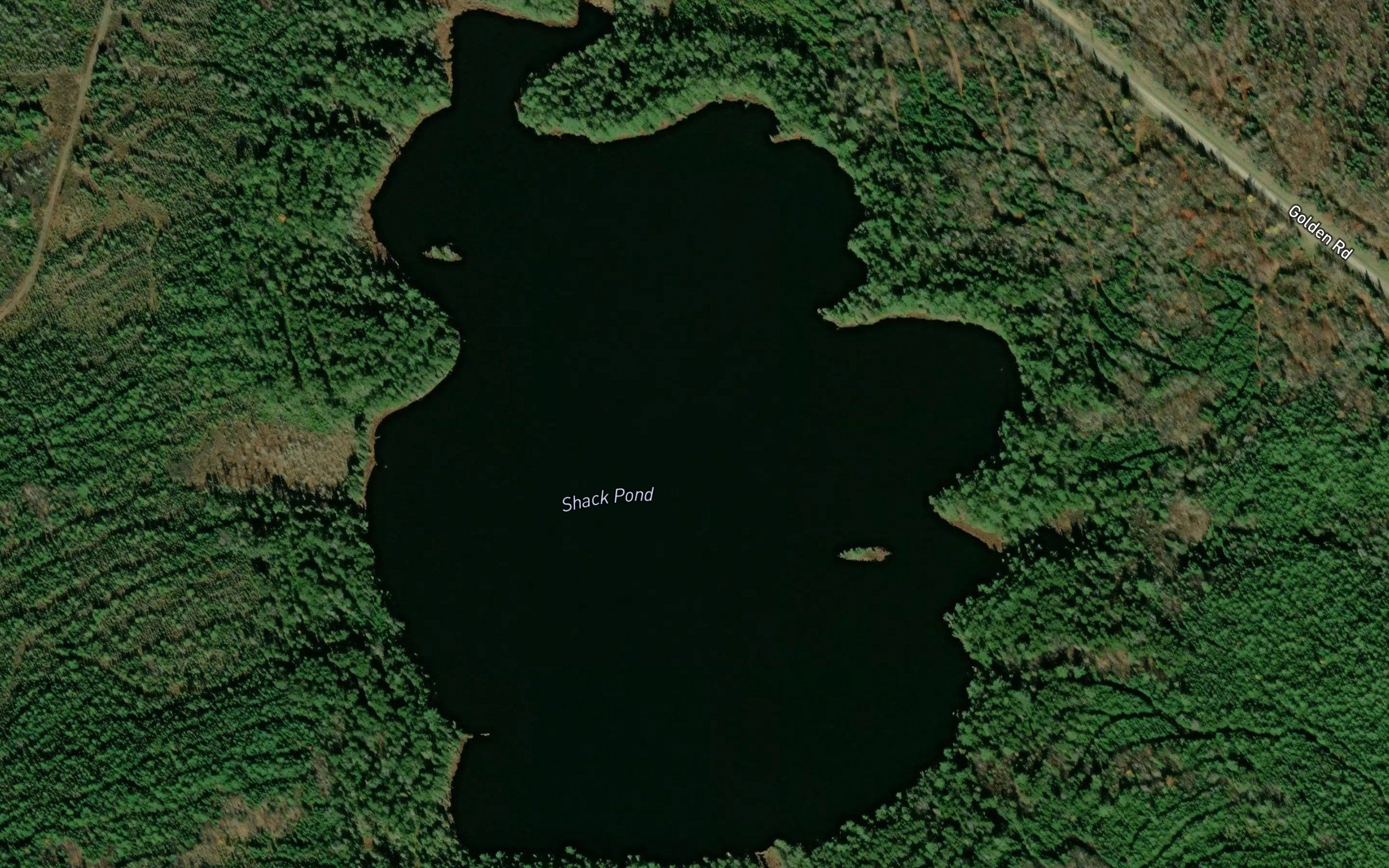 Shack Pond