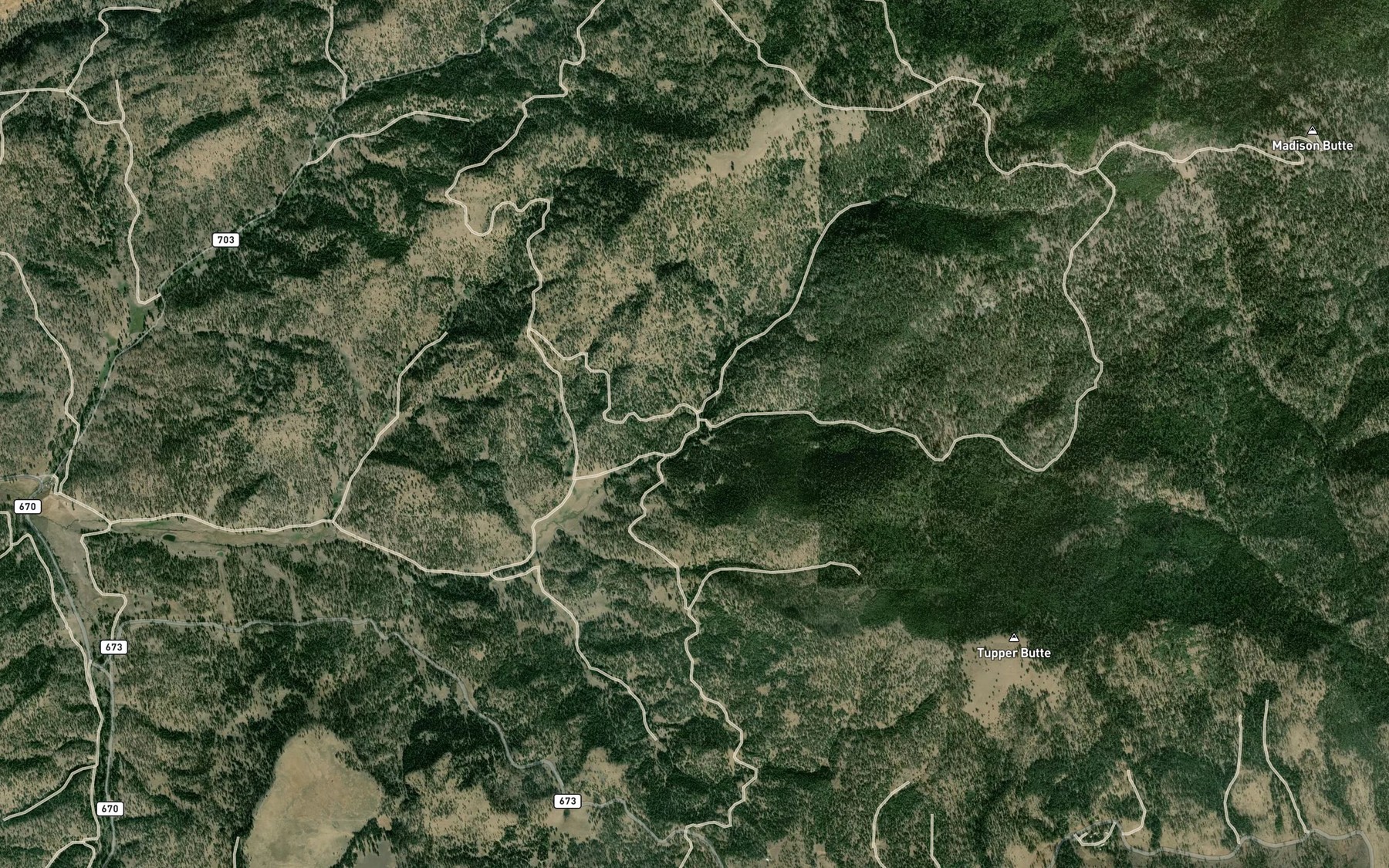 Satellite map of the Hollywood Creek
