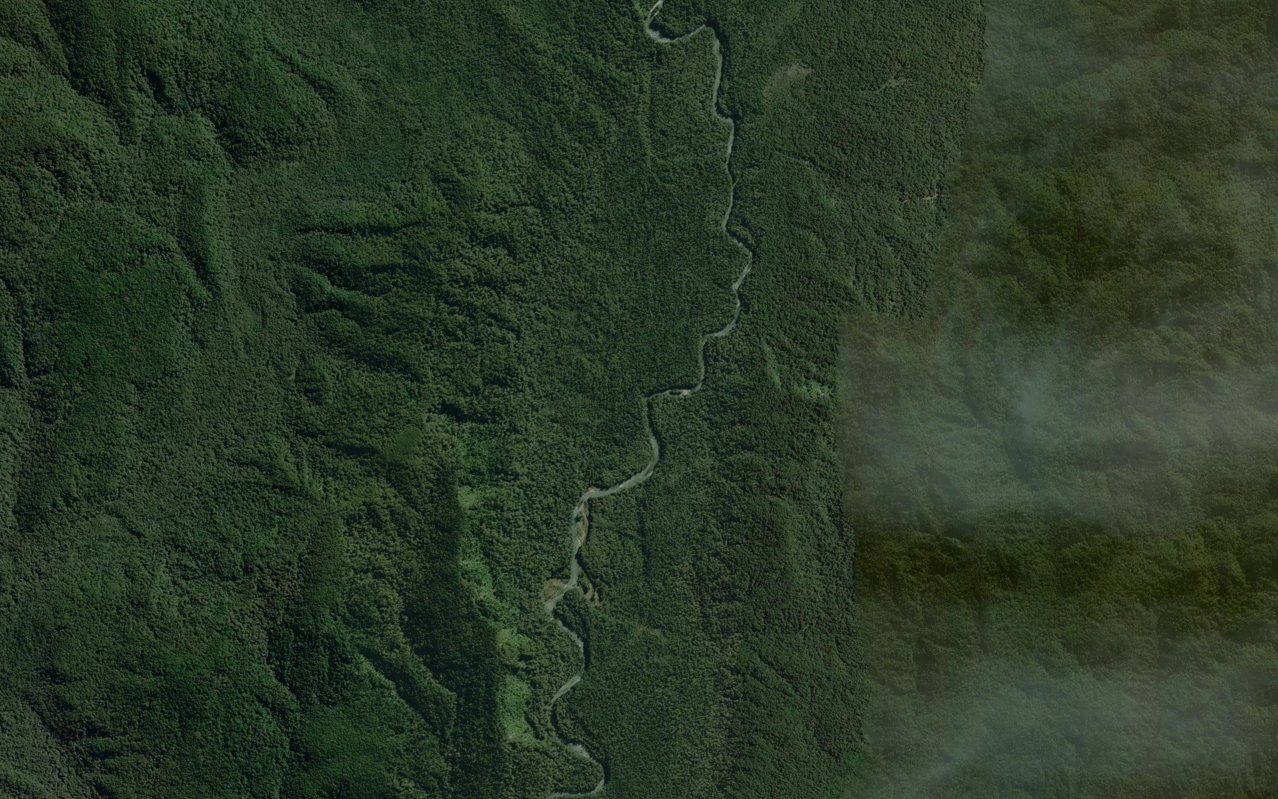 Wairaurahiri River