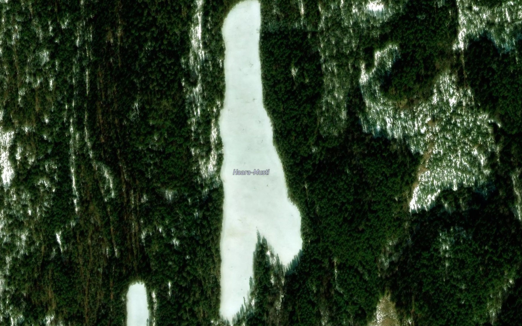 Satellite map of the Haara-Musti
