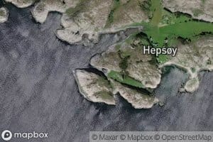 Kleppvika
