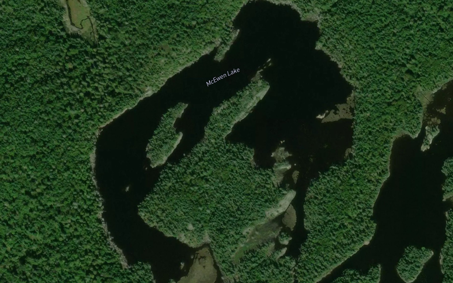 Satellite map of the McEwen Lake