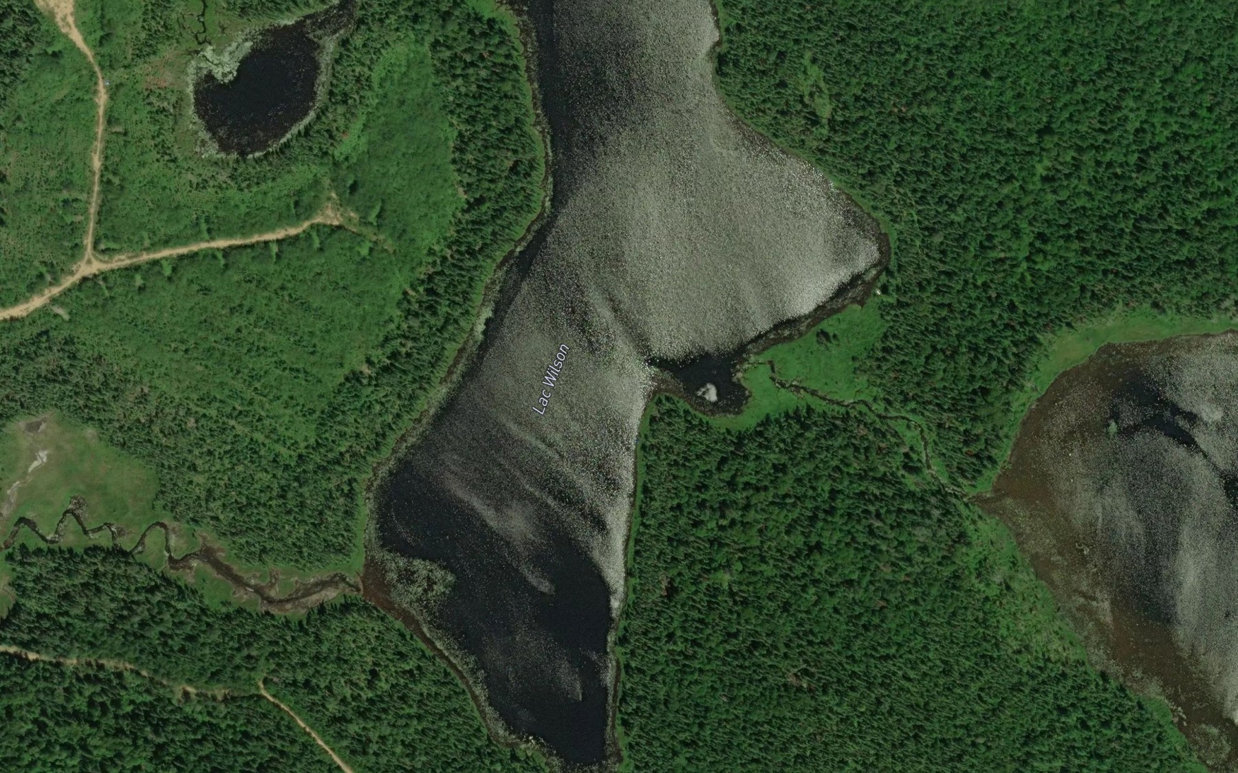 Satellite map of the Lac Wilson