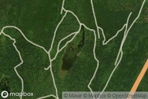 Sessions Meadow Marsh