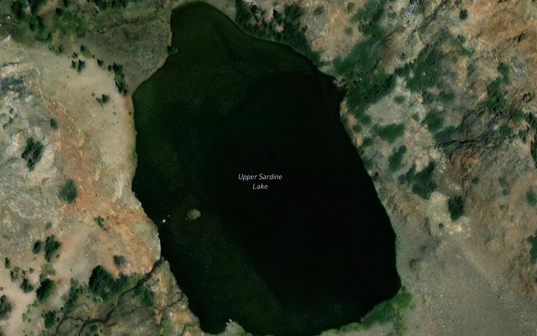 Satellite map of the Upper Sardine Lake