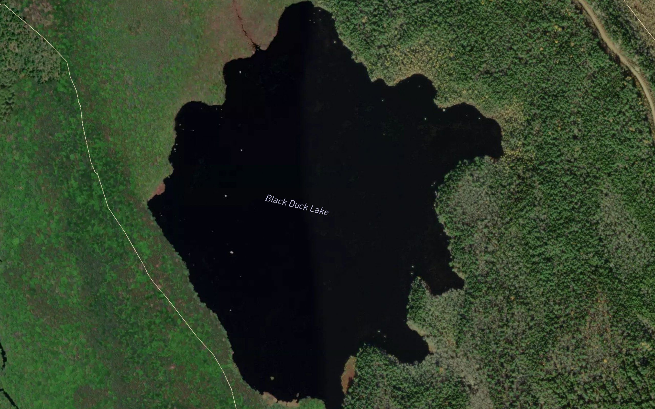 Black Duck Lake