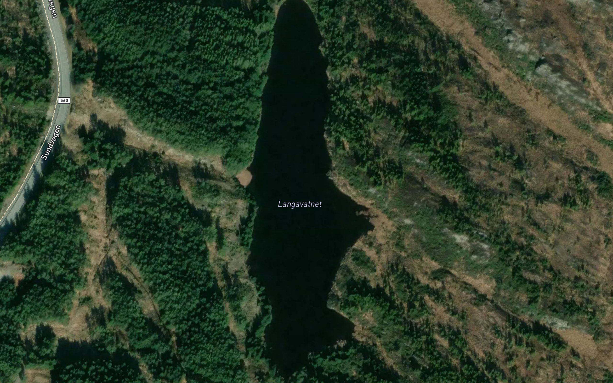 Langavatnet