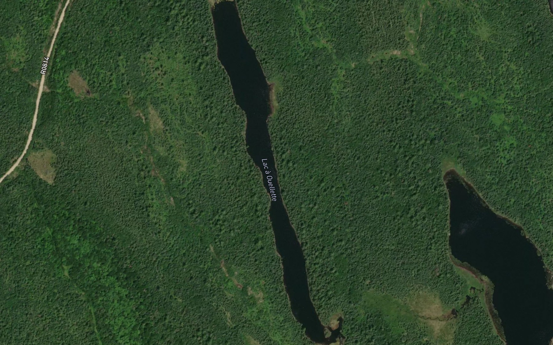 Satellite map of the Lac a Ouellette
