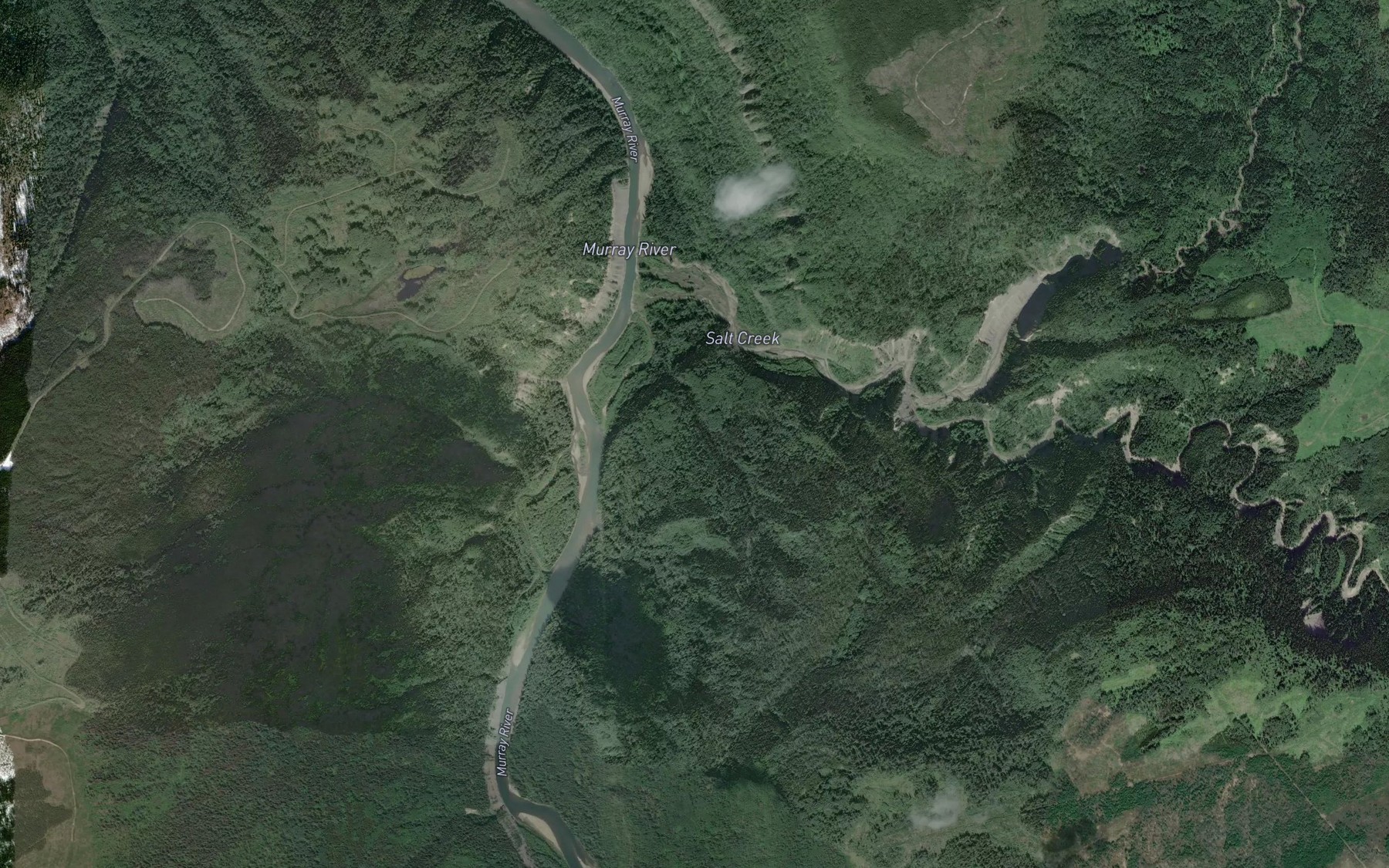 Satellite map of the Salt Creek