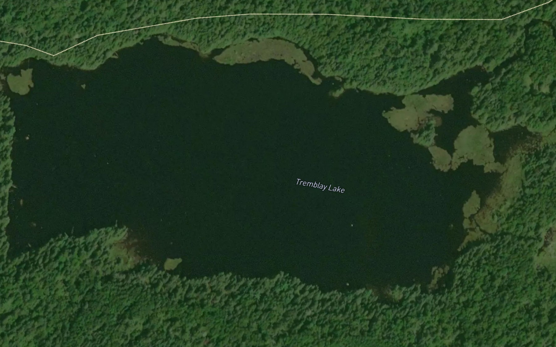 Satellite map of the Tremblay Lake