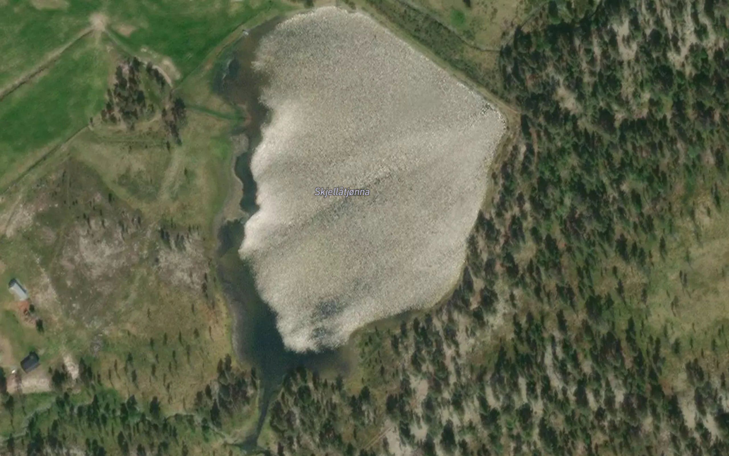 Skjellatjonna
