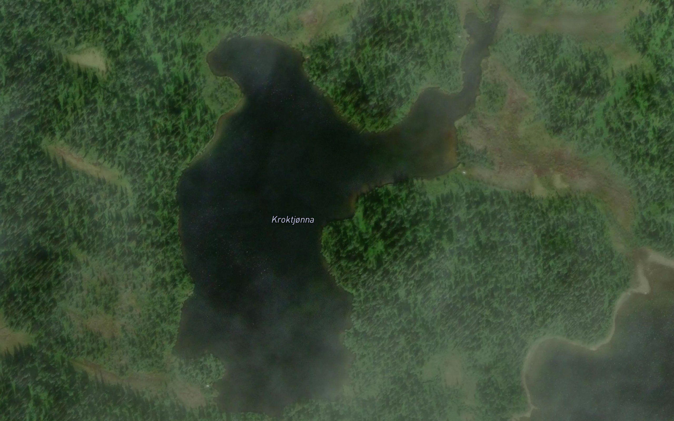 Kroktjorna