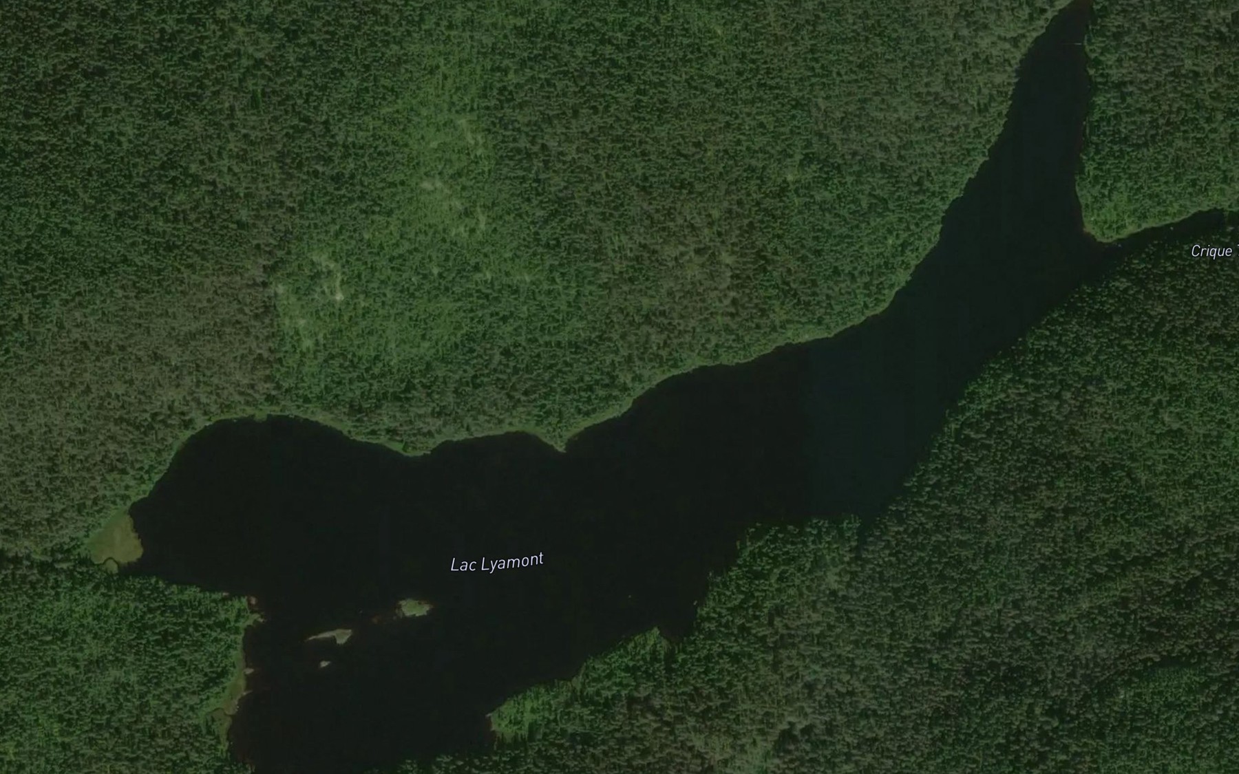 Satellite map of the Lac Lyamont