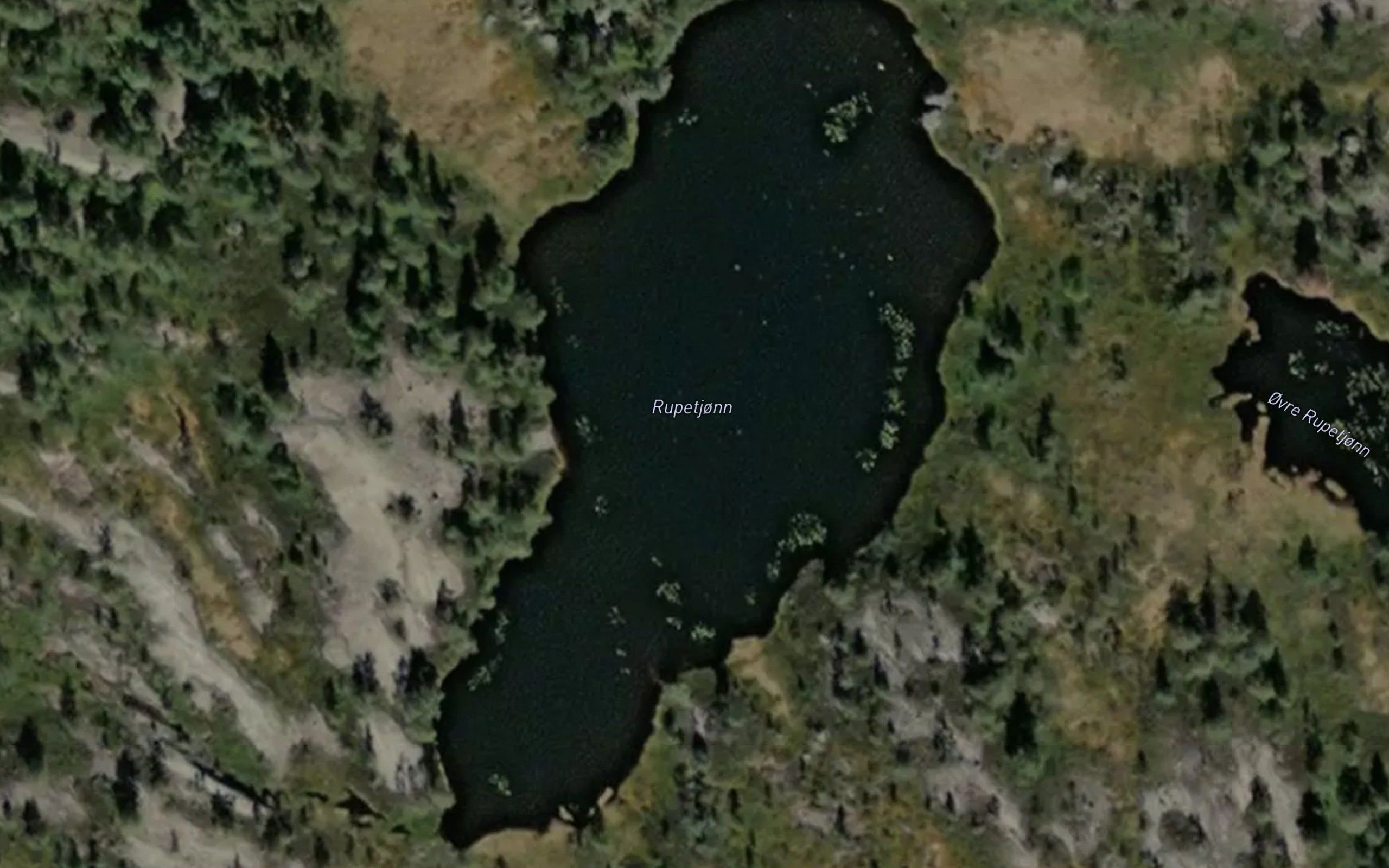 Rjupetjornane