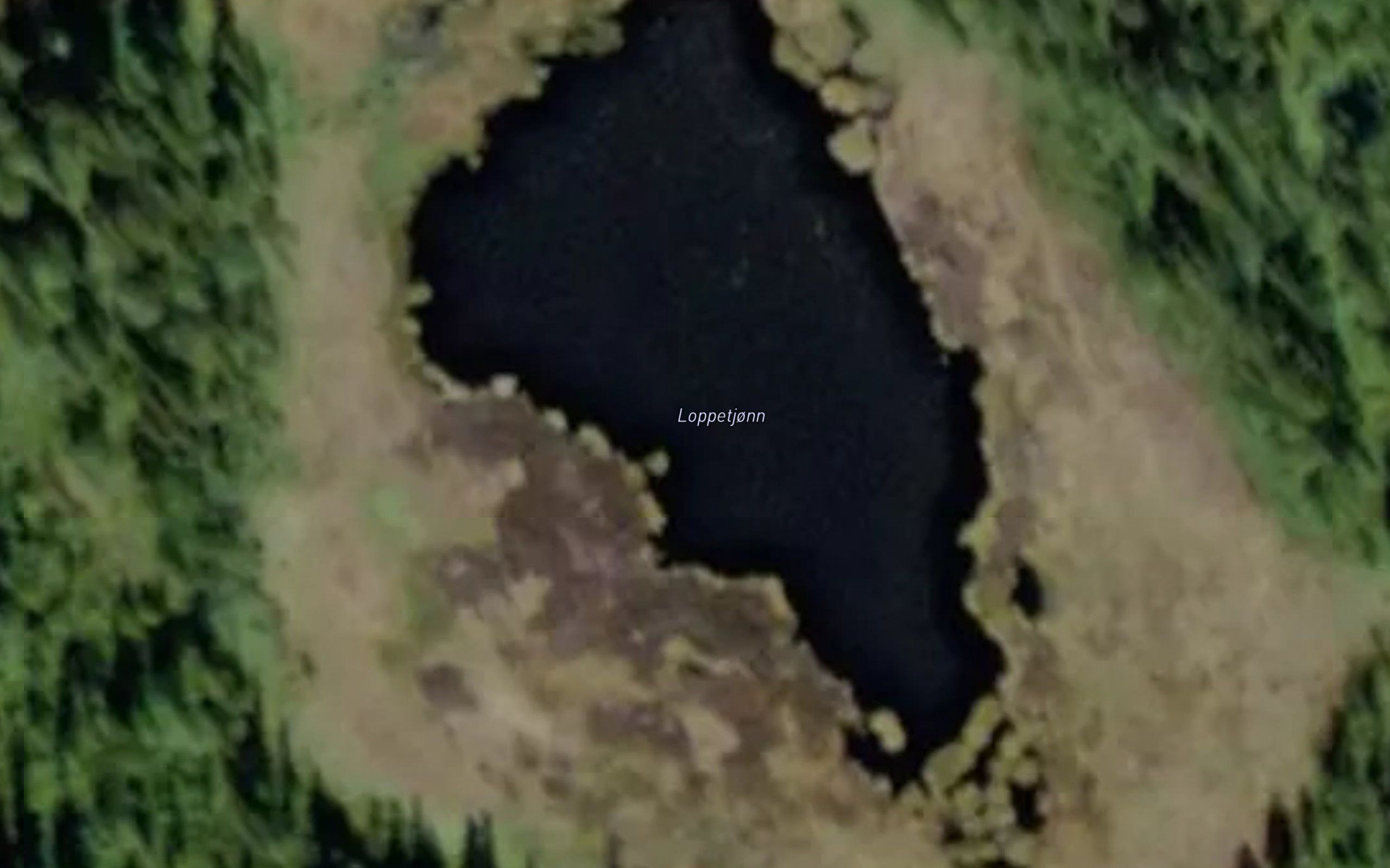 Loppetjonn