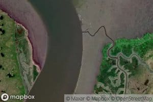 Belogolovaya