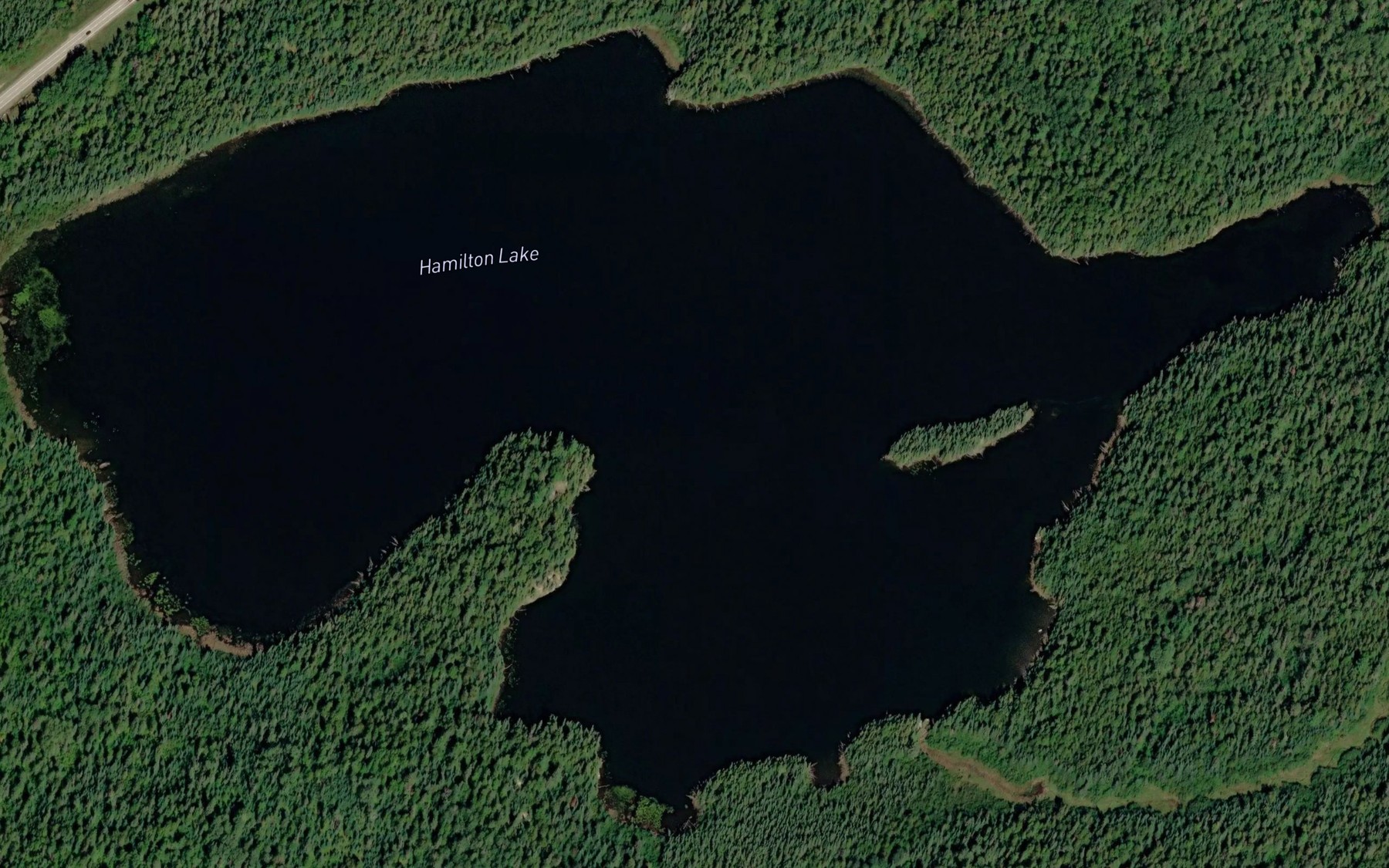 Satellite map of the Hamilton Lake