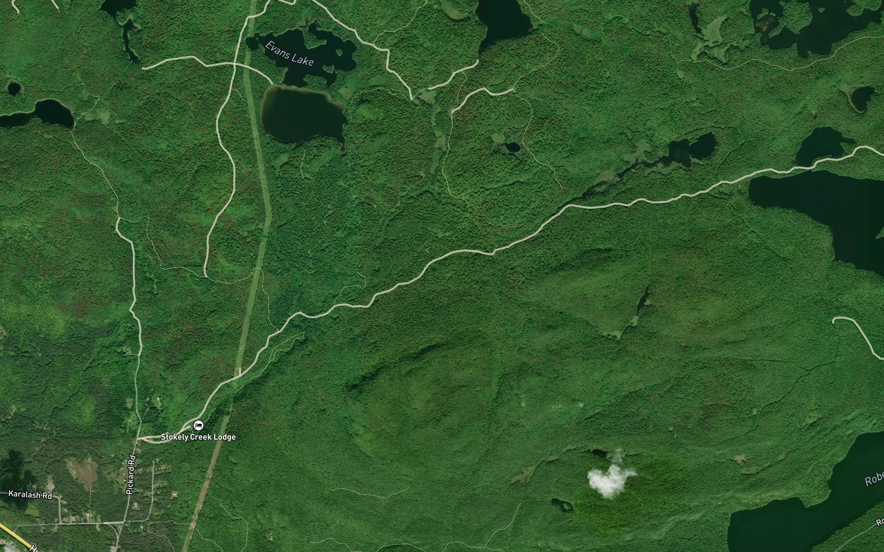 Satellite map of the Sayer Creek