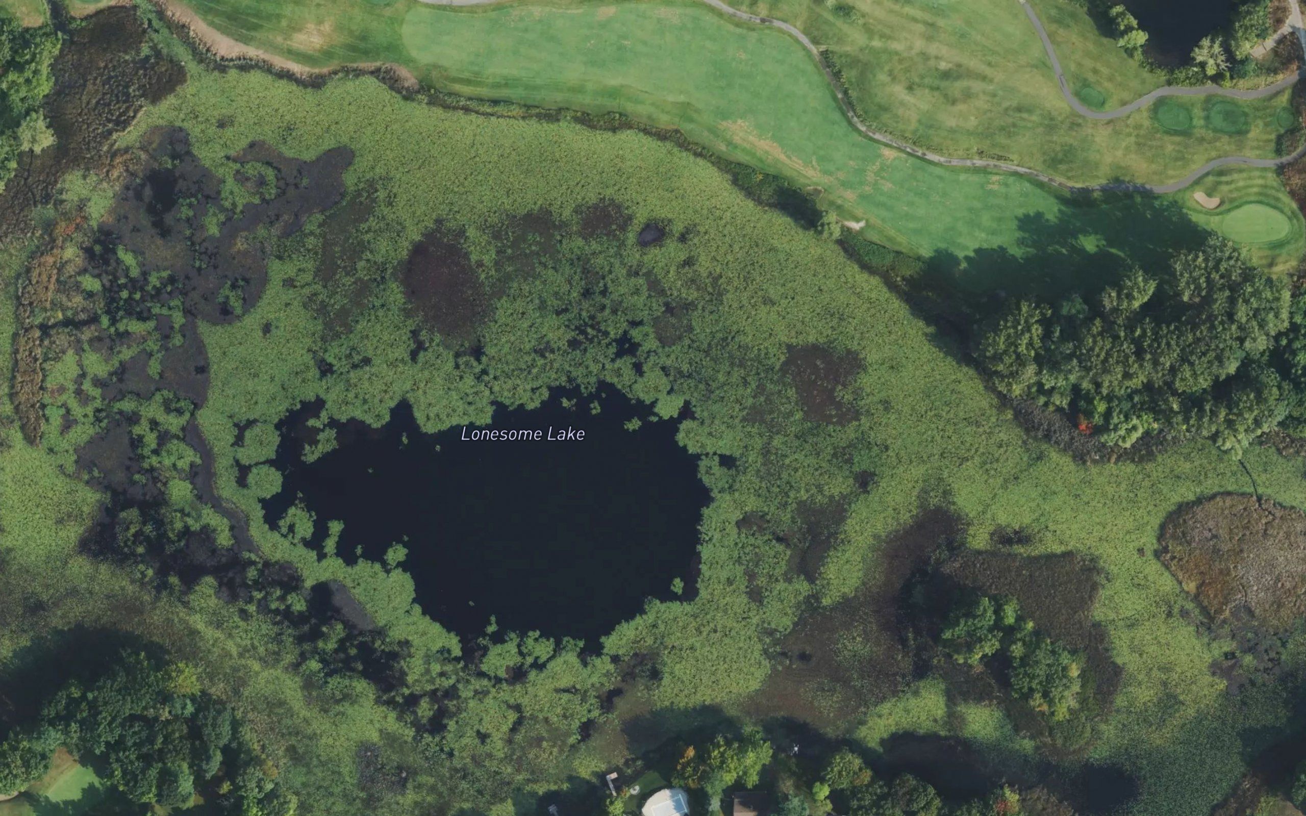 Lonesome Lake