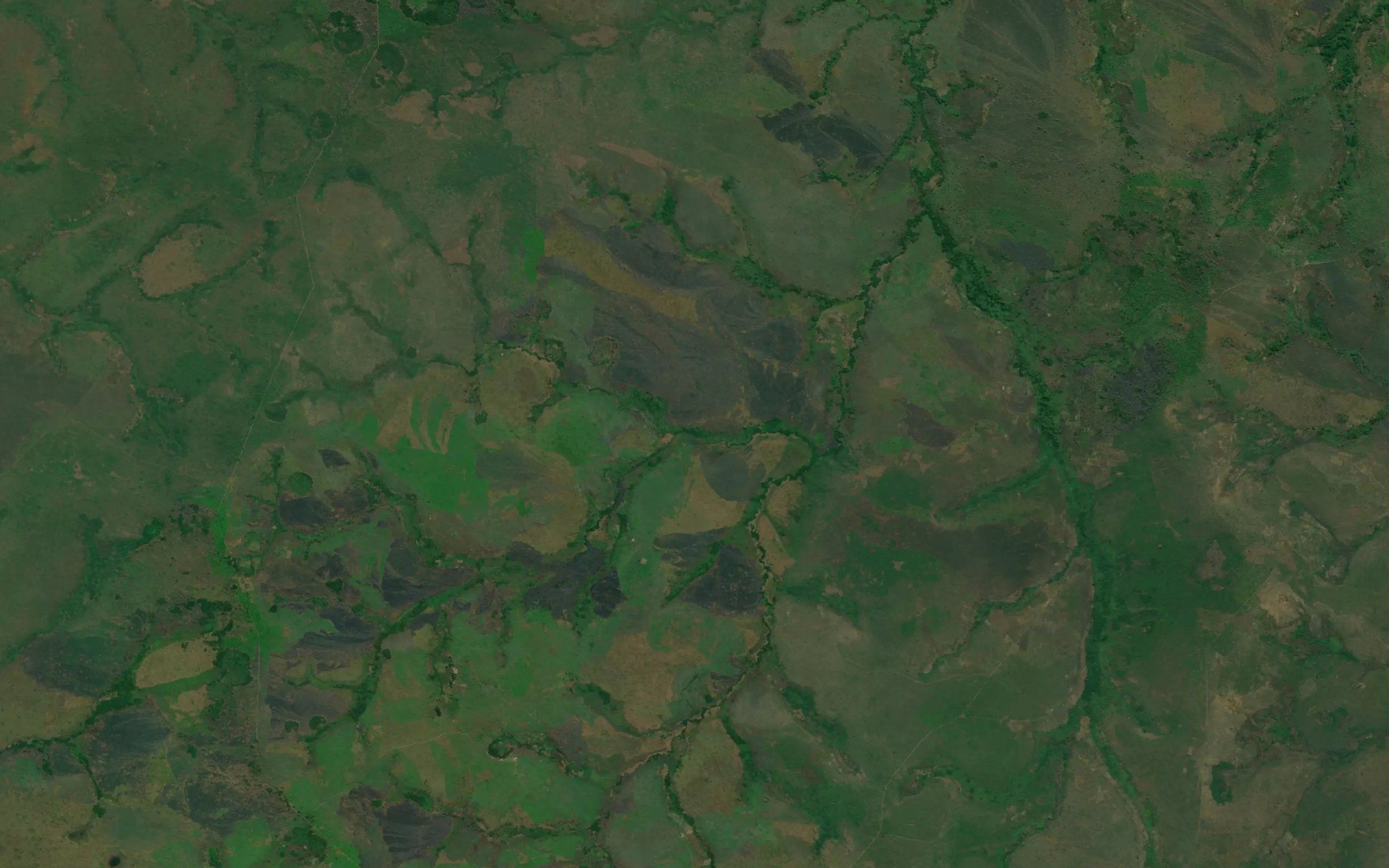Kabikele