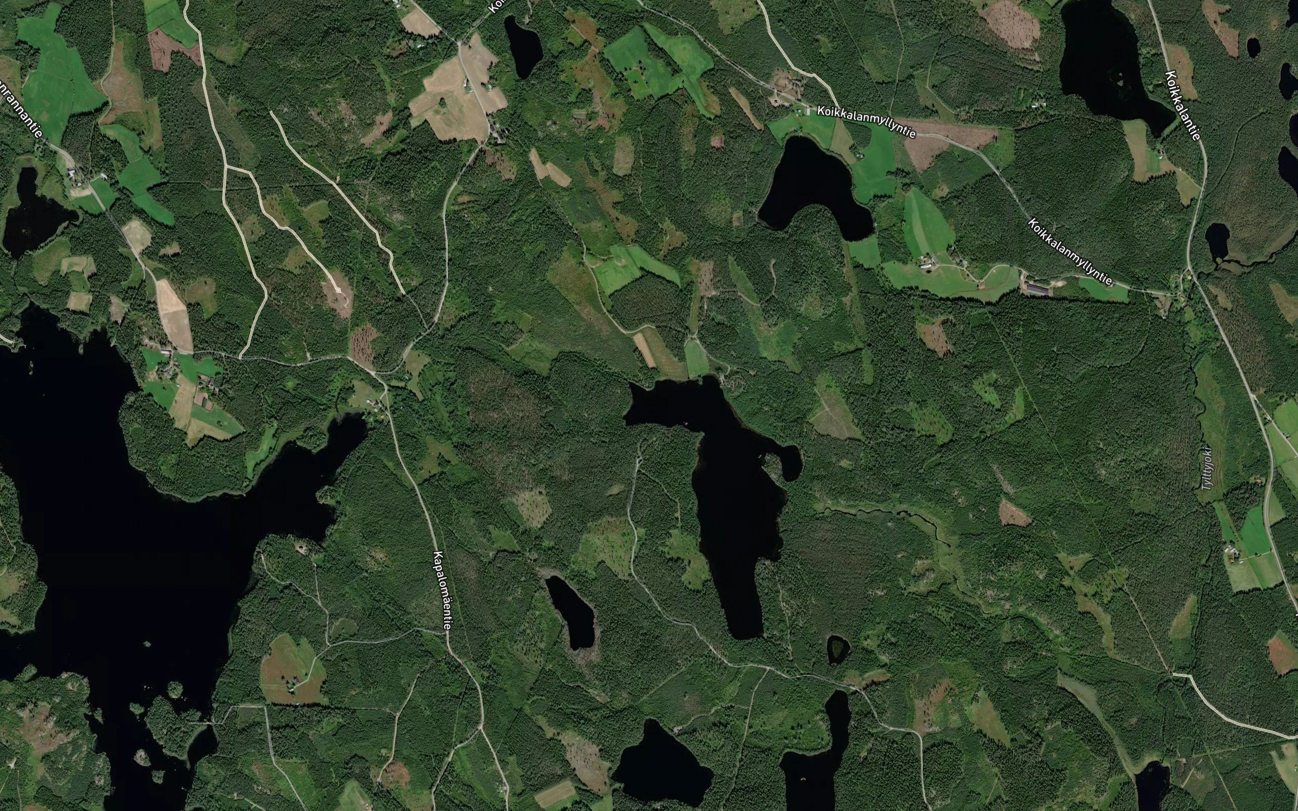 Mustalahti
