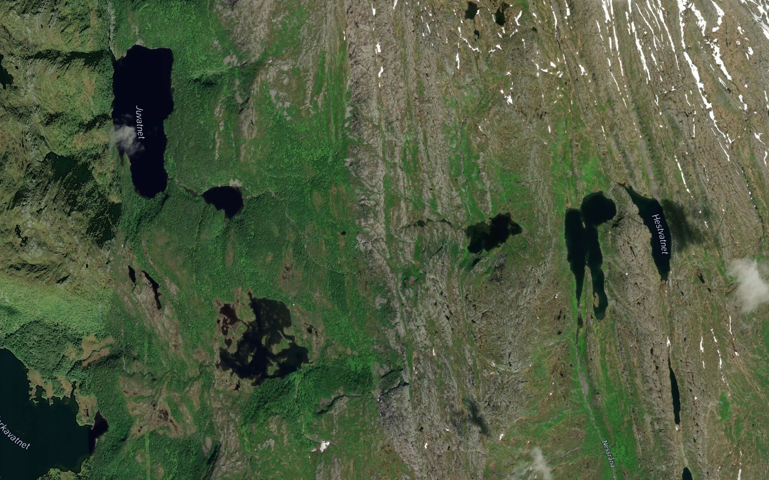Forsvassforsen