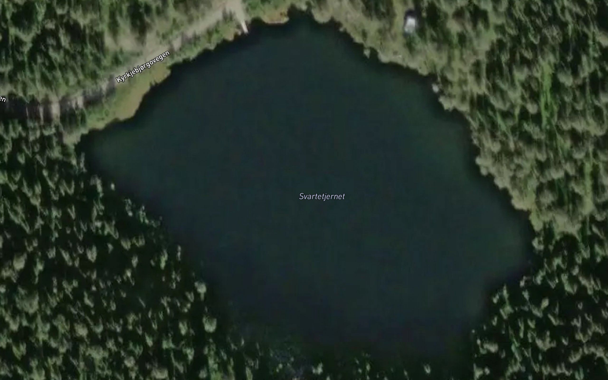 Svartetjednet