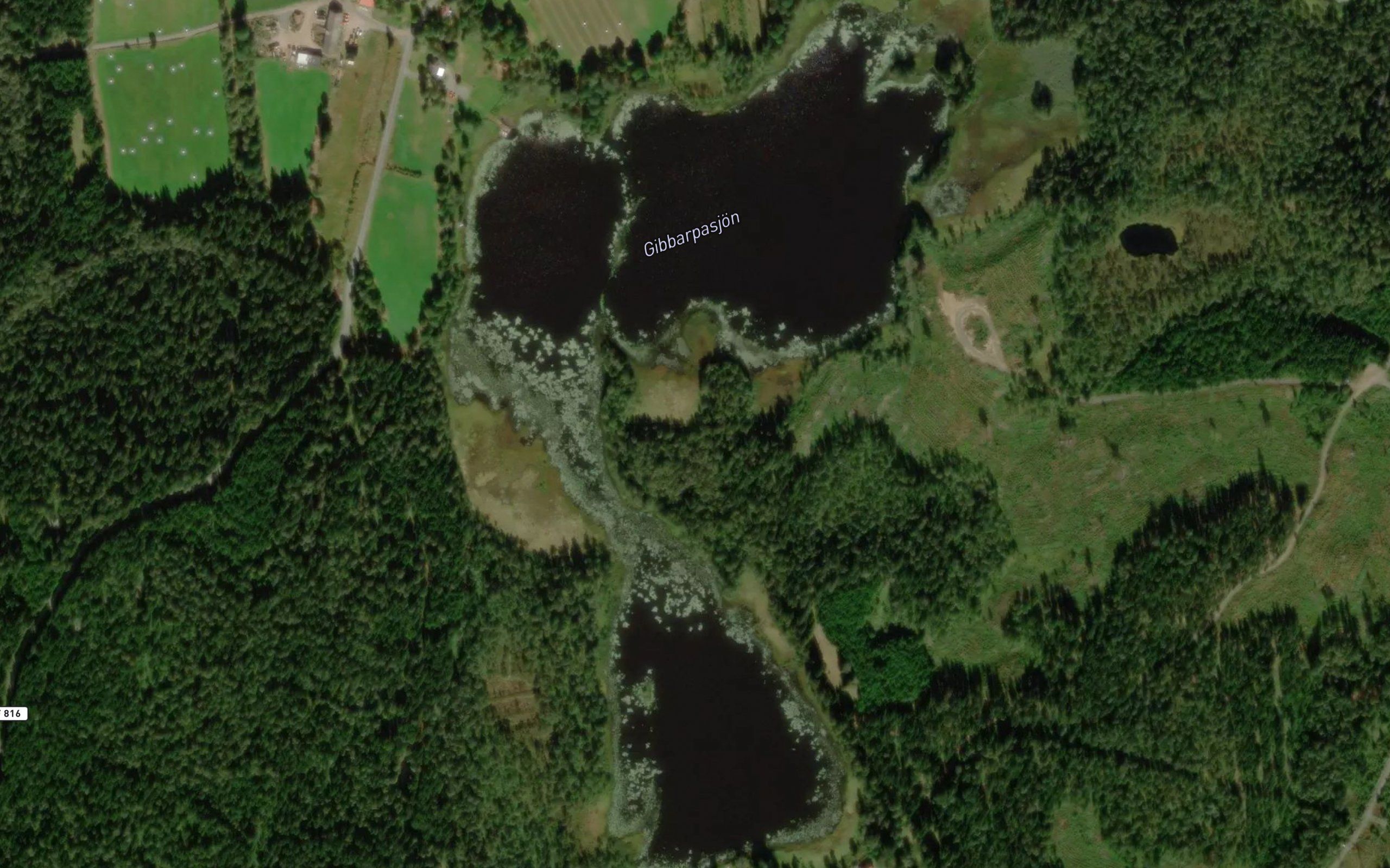 Gibbarpasjoen